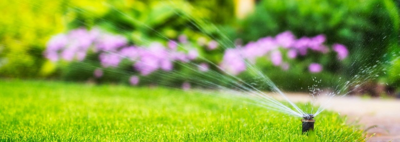 From Yard to Oasis - Creating a Healthy Lawn