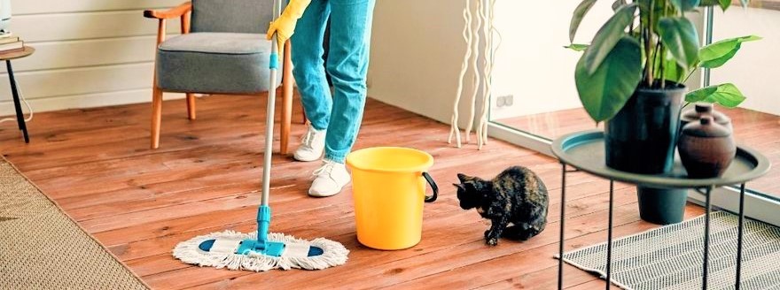 Deep Cleaning Home Checklist